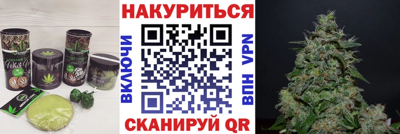 Купить где  Камешково  Canna-Cookies конопля 