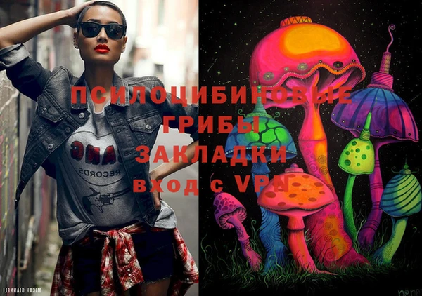 apvp Лихославль